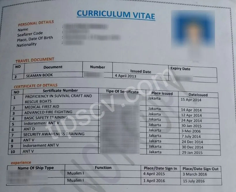 Contoh CV Pelaut untuk Lamaran Kerja resume
