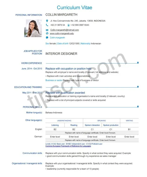 Download Contoh CV Bahasa Inggris Doc Pdf layout2