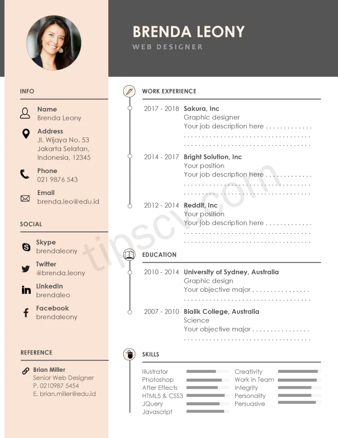 Download Contoh CV Menarik dan Informatif Doc Pdf