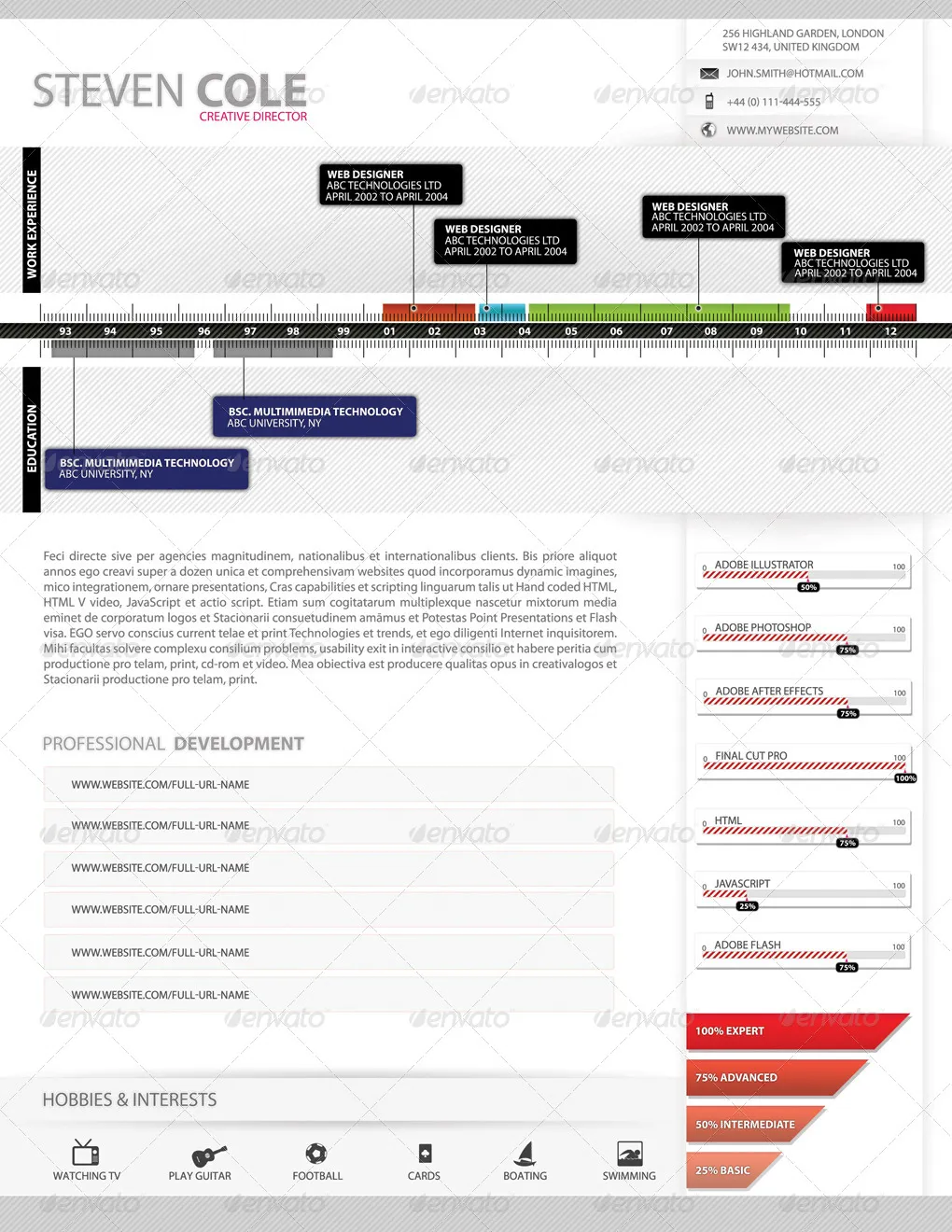 cv timeline