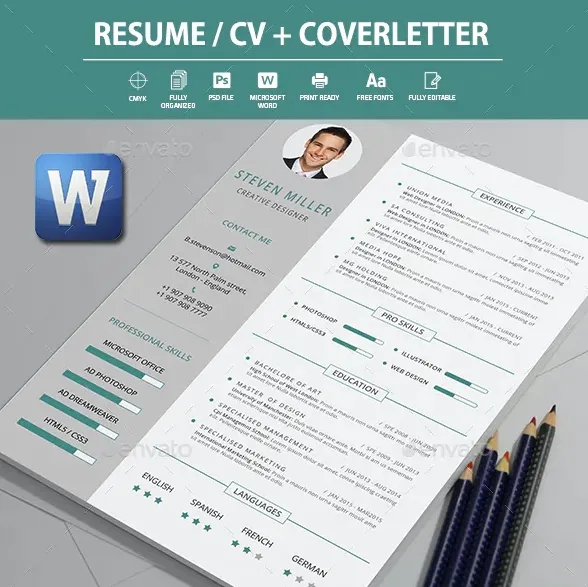 Elegan resume