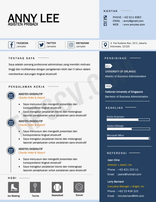 Format CV Kosong Asisten Pribadi (Download template CV format doc word)