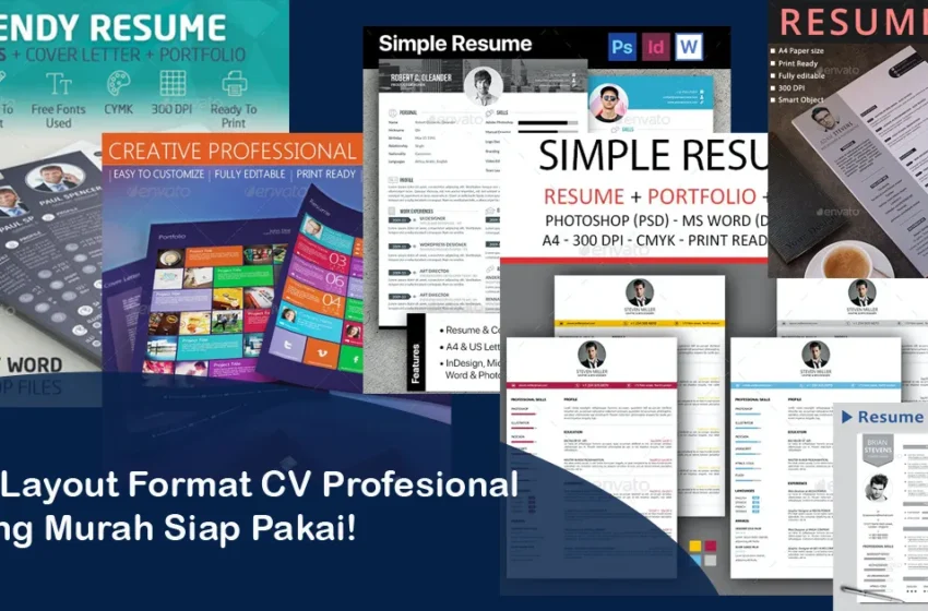  21+ Layout Contoh CV Menarik Untuk Lamaran Kerja